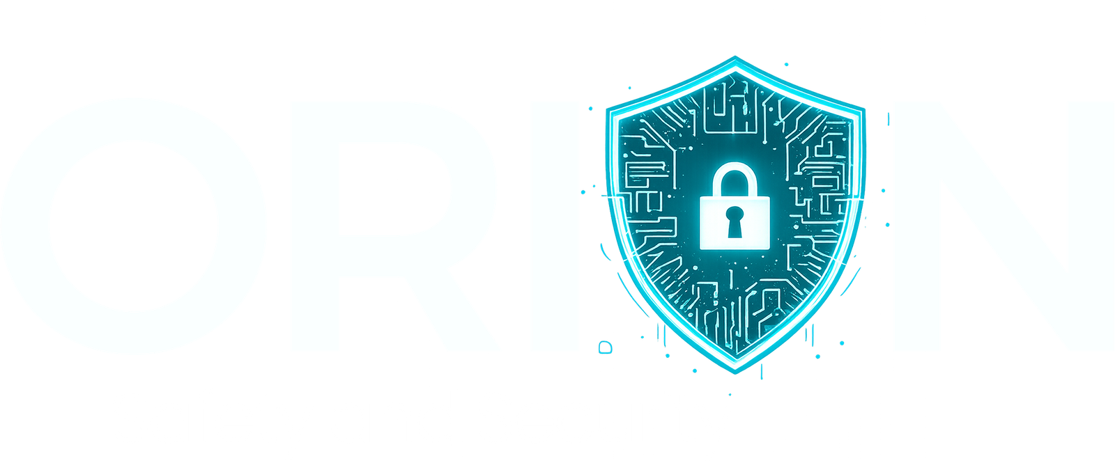 orion-safety-security.com